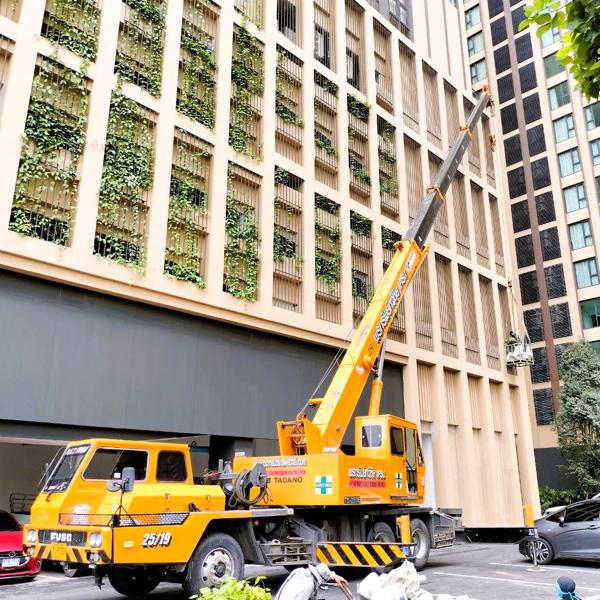 เช่ารถเครน 25 ตัน 10 ล้อ ยกต้นไม้